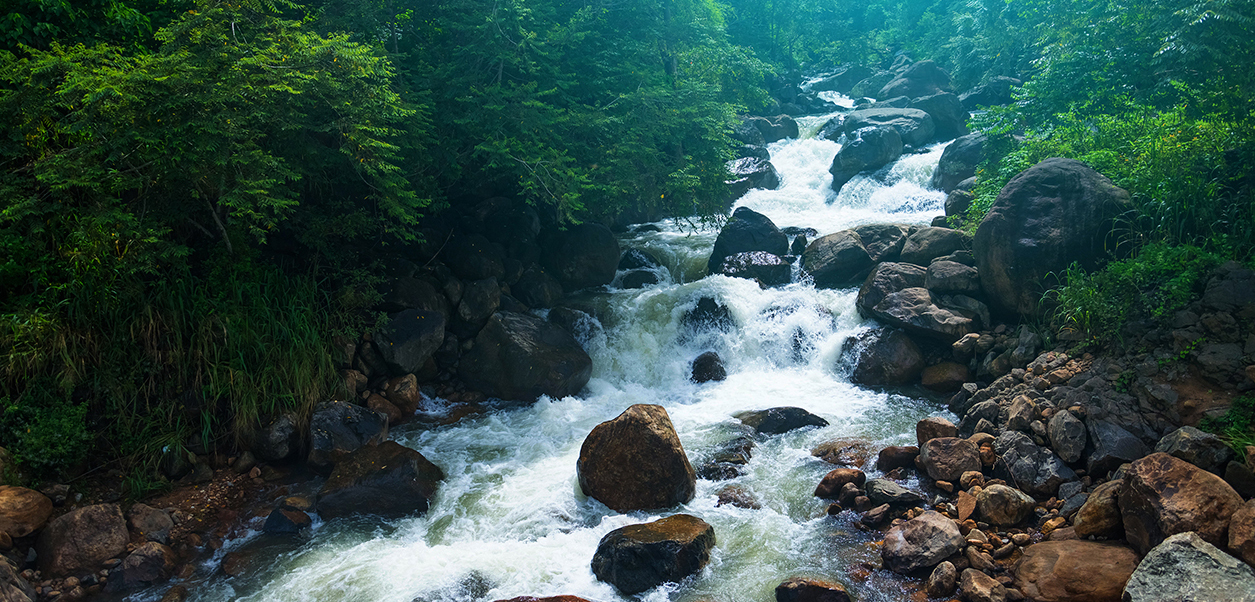 The Sanctuary of Stillness