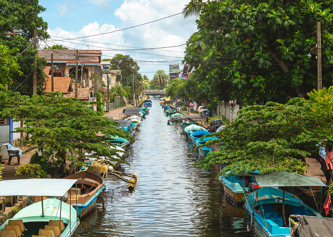 Negombo Lagoon & Traditional Fishing Village Experience