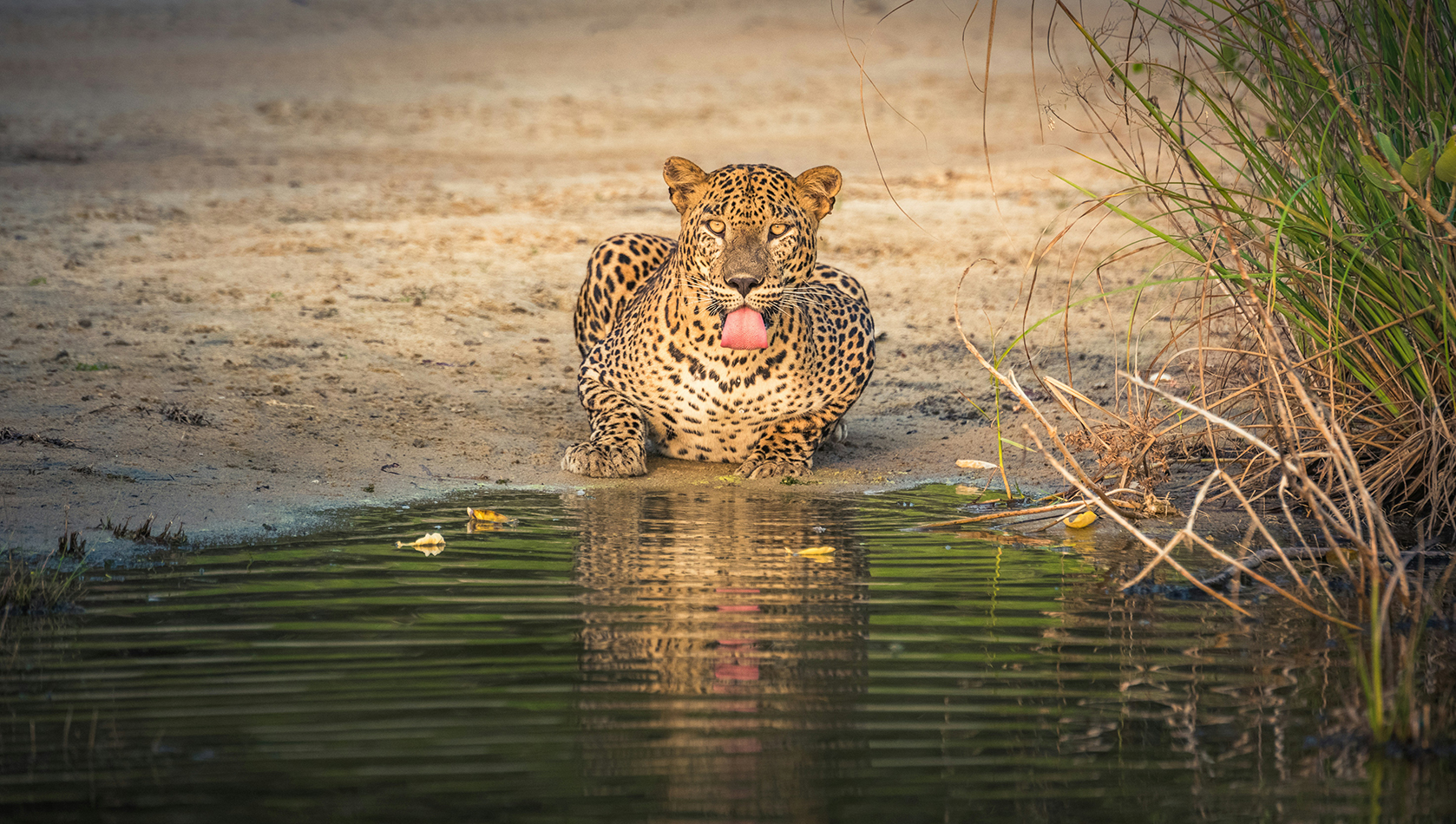 Wilpattu National Park